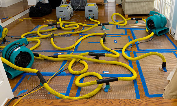 Professional Basement Flood Cleanup technician working in Tehuacana, TX